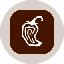 Chipotle Tokenized Stock (Ondo) icon